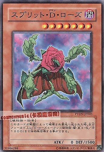 PTDN-JP005 裂魔玫瑰 日文普卡 (507)黑暗幻影PTDN