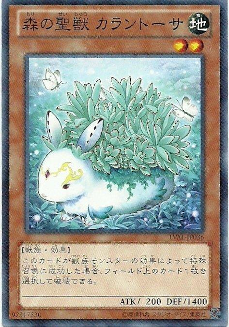 LVAL-JP036 20TP-JP206 森之聖獸 月耳兔 日文普卡 807
