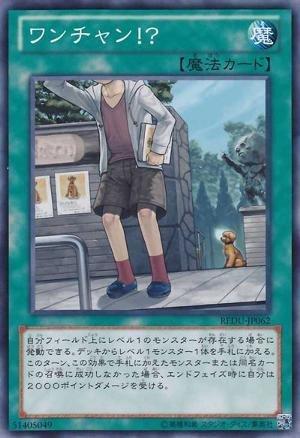 REDU-TC062 唯一機會！？ 尋找小汪