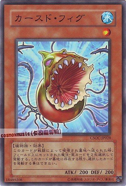 CSOC-JP028 被詛咒的無花果 日文隱普 602