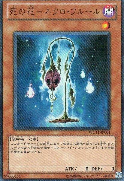 WC11-JP001 死之花 (金亮)