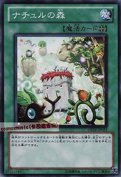 DREV-JP051 自然森林 日文普卡 701