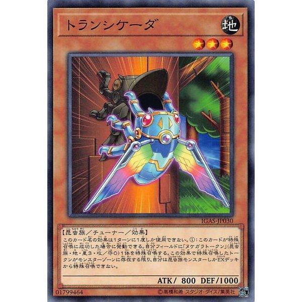 IGAS-JP030 轉繼蟬 (普卡) 1011