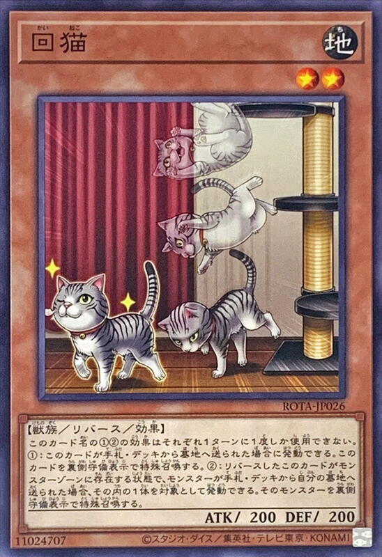 ROTA-JP026 回貓 (普卡) 1206