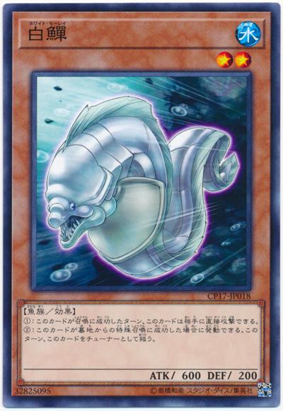 CP17-JP018 白鱔 (普卡)
