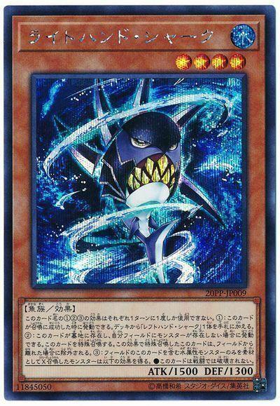 20PP-JP009 右手鯊 (半鑽)
