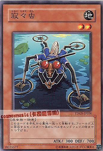 TDGS-JP036 寂寂蟲 日文普卡 601
