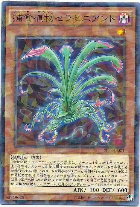 SPFE-JP001 捕食植物瓶子草蟻 (普鑽)