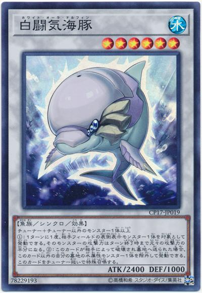 CP17-JP019 白鬥氣海豚 (亮面)