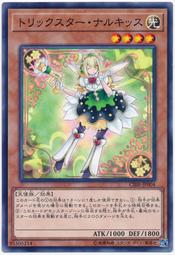 CIBR-JP004 花樣明星飛吻水仙 (普卡) 1002