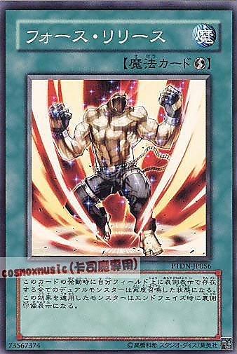 PTDN-JP056 力量解放 日文普卡 (507)黑暗幻影PTDN