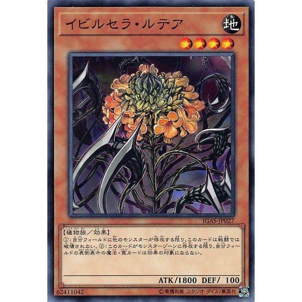 1011 IGAS-JP027 惡爪之花 (普卡) 1011