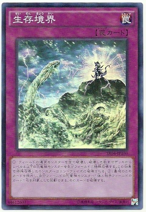 SR04-JP030 生存境界 (亮面)