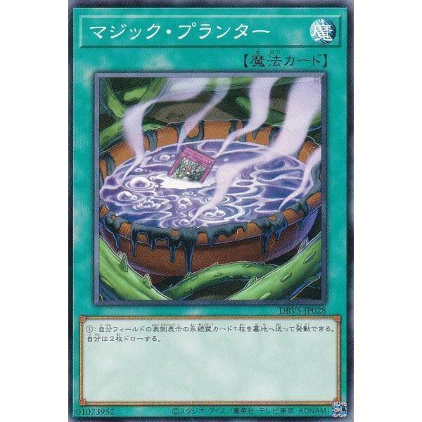 DBVS-JP028 魔法盆栽 普卡