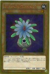 GP16-JP001 成長球莖 (黃金)