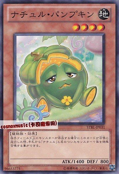 STBL-JP031 自然南瓜 日文普卡 STBL