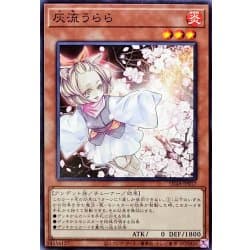 TT01-JPC04 TT01-JPB11 SD48-JP017 灰流麗 灰流晴 (普卡)