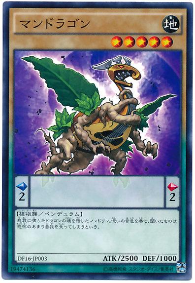 DF16-JP003 蔓陀羅龍 (普卡)
