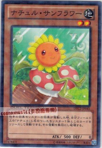 DT05-JP018 DTC2-JP041 自然向日葵 日文普卡 機台卡