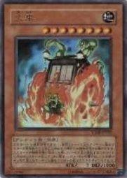 VJMP-JP035 火車 金亮