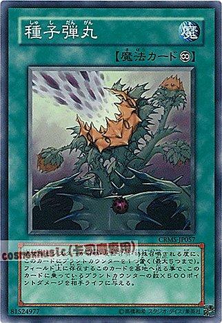 CRMS-JP057 種子彈丸 日文普卡 603