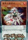 SD29-JP003 貴龍的魔術師 亮面