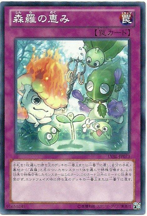 LVAL-JP073 森羅的恩惠 日文普卡 807