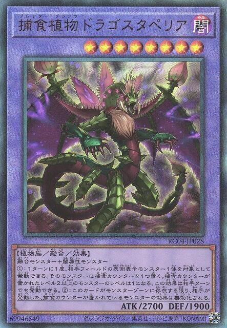 RC04-JP028 捕食植物 豹皮花龍 (浮雕/凸版)