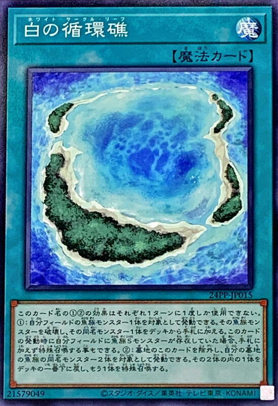 24PP-JP015 白之循環礁 (普卡)