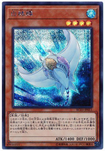 RC03-JP011 白棘鱏 (半鑽)