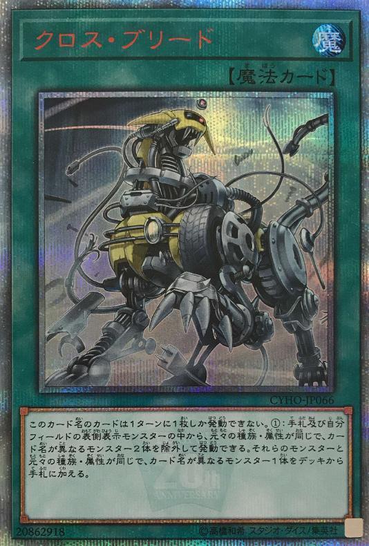 CYHO-JP066 交叉混種 (紅字半鑽) 1005