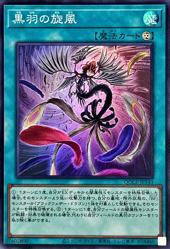 QCCP-JP143 黑羽旋風 (亮面)