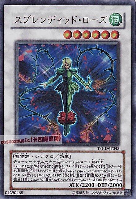 TSHD-JP043 華麗薔薇 日文金亮 608