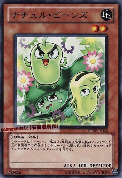 DREV-JP028 自然豆 日文普卡 701