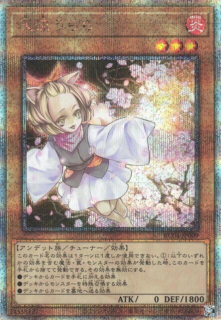 RC04-JP009 金鑽 25th 灰流麗