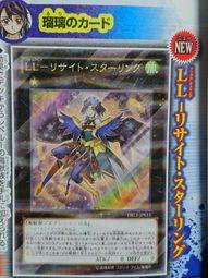 DBLE-JP015 LL 吟誦椋鳥 (金亮彩鑽)