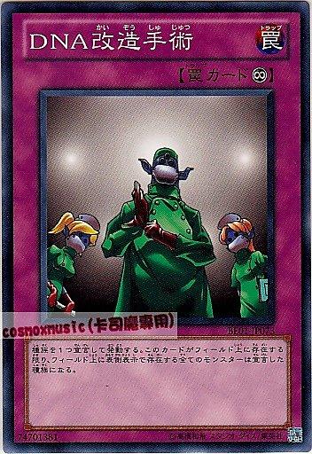 BE01-JP073 DL1-114 DNA改造手術 普卡