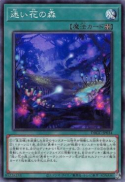 DBGC-JP034 迷失花之森 (普卡)