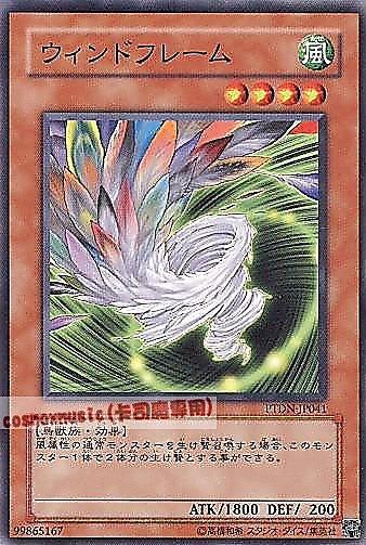 PTDN-JP041 旋風結構體 日文普卡 (507)黑暗幻影PTDN