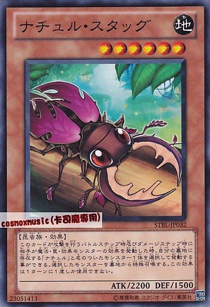 STBL-JP032 自然鍬形蟲 日文普卡 STBL