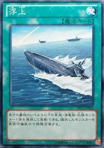 DP15-JP025 浮上 普卡