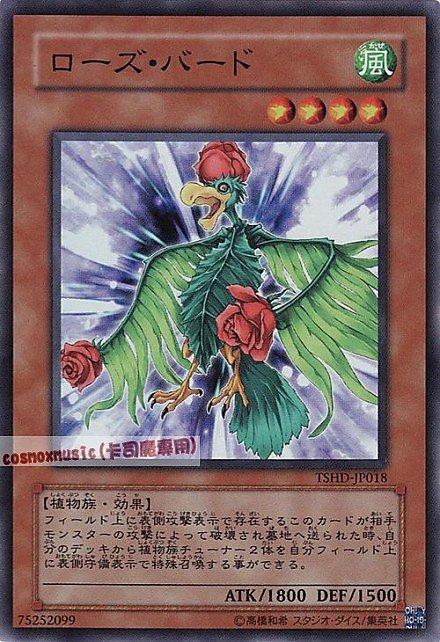 TSHD-JP018 薔薇鳥 日文亮面 608