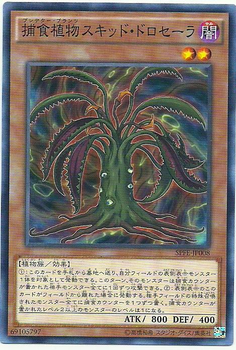 SPFE-JP008 捕食植物 魷毛氈苔 (普卡)