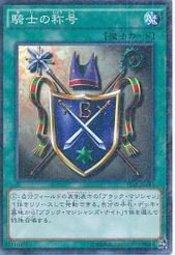 15AX-JPY43 騎士的稱號 古文粉鑽