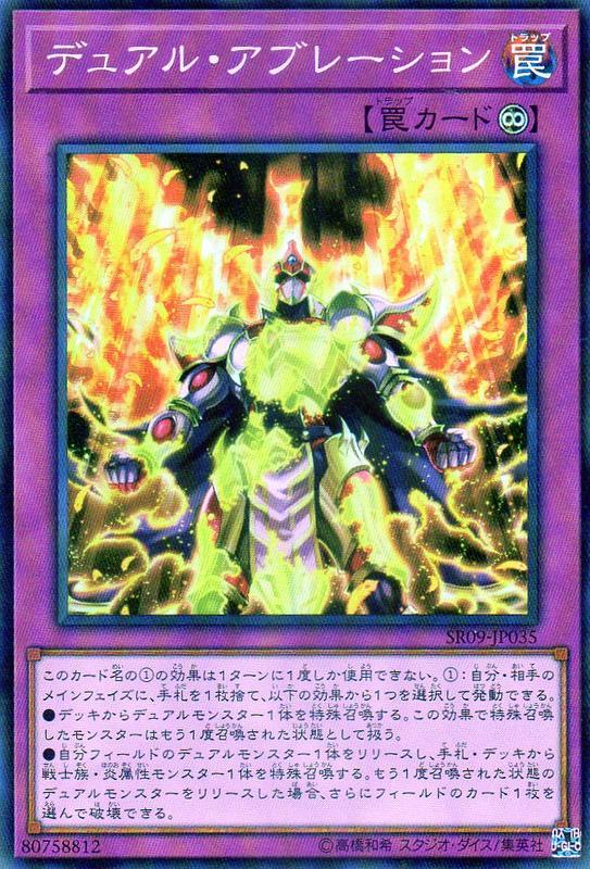 SR09-JP035 二重燒蝕 (亮面)