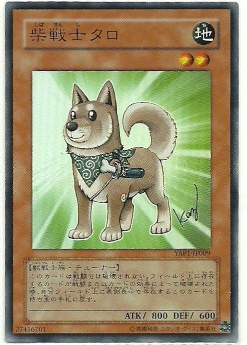 YAP1-JP009 柴戰士(金亮)