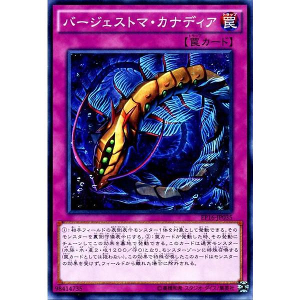 EP16-JP035 N 古生代加拿大蟲 (普卡)