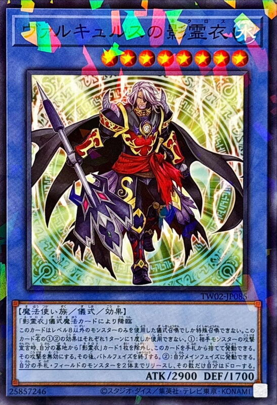 TW02-JP085 瓦爾裘路斯的影靈衣 (普鑽/碎鑽)