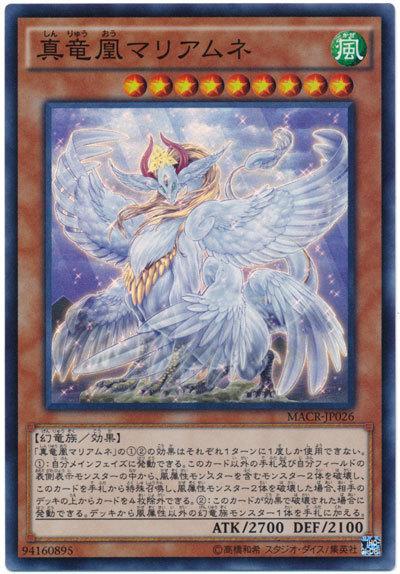 MACR-JP026 真龍凰聖母赦免 (亮面) 912