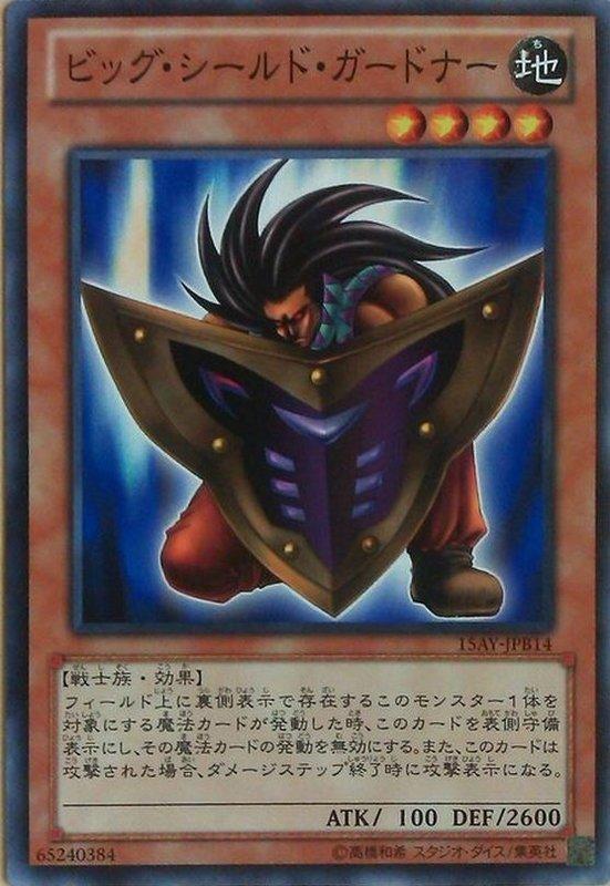 15AY-JPB14 大盾守護者（普卡）